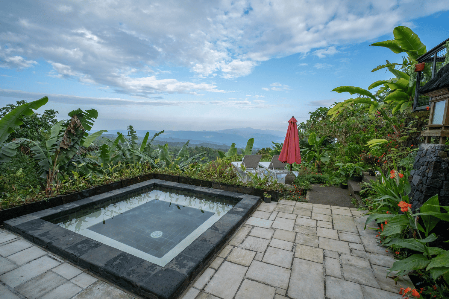 Munduk Harvest Palace - Plunge Pool.jpg